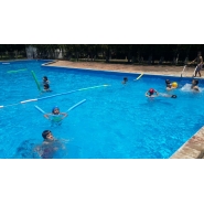 Colonia de Vacaciones - Diciembre 2014